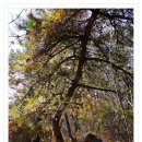 남열해돋이해수욕장 이미지