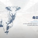 대한사료 이미지