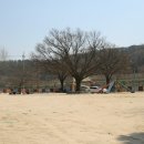 능치초교 이미지