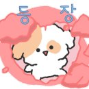 킹콩박스새롬점