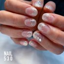 NAIL530
