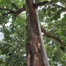 청마루기사식당 이미지