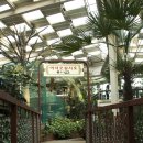 작은영토 이미지