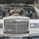 양지모터스 이미지