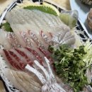 5월 먹어야 맛있는 재철 회 추천ㅣ노량진수산시장 군산상회ㅣ도다리회모듬 포장 후기