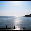 변산 모항 솔향 | 부안 가볼만한곳 베스트10 여행