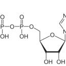조이헬스 이미지