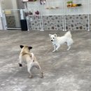 라이프 오브 라일리(Life of Riley) 이미지