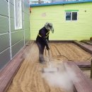 대림초교 병설유치원 이미지