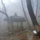 와룡자연휴양림 이미지