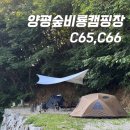 양평숲비룡캠프장 | 양평숲비룡캠핑장 C65,66 사이트 세 번째 이용 (feat.초대캠핑)
