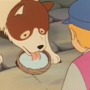 파트라슈 이미지