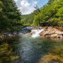 도림사오토캠핑리조트 이미지