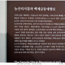 부여(사비)-08 이미지