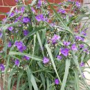 불로경로당 이미지