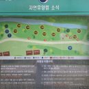남해편백자연휴양림 | 남해편백자연휴양림 야영장 방문 후기