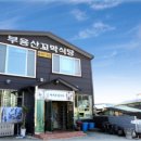 보성아이스크림 이미지