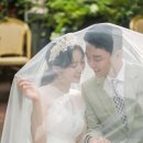 배슬기 카카오 검색결과