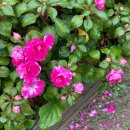 산내종합사회복지관 이미지