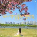 동해안자전거도로11(서) | 여기 한국 맞나요? 미사경정공원 겹벚꽃 피크닉 스팟, 주차와 셀프웨딩 후기까지