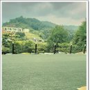 앳더몬 | 가평 펜션 맑은 하늘과 자연 속에서 여유로운 시간 앳더몬 독채 펜션 방문 후기