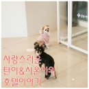 시온동물병원 이미지