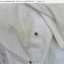 엑슬루 세탁소 이미지