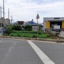 대경아파트앞 이미지