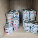 리센츠 스타동물병원 이미지