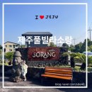소랑마을2세천 | 제주 풀빌라소랑/풀빌라소랑 듀플렉스 원룸스파/대가족숙소로추천/내돈내산💚