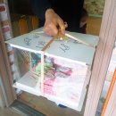 금마성모어린이집 이미지