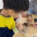 동신초교병설 이미지
