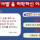 아담짐 이미지