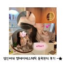 성신여대 윤곽관리 엠케이 에스테틱: 경락 물방울 리프팅 맛집 후기