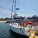 장사항 마리나 네이버블로그