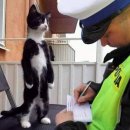 화순농협이서주유소 | 이건 첫번째 레슨, 뭐든지 받아적기