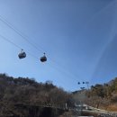 청풍호 감 이미지