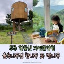 밤나무집 | 무주 향로산 자연휴양림 숲속나무집 참나무 밤나무 숙박후기 (아이랑 모노레일 탑승)