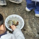 목련8단지(아)경로당 | 대구 아이랑 숲놀이로 추천 2026 동그라미 숲 놀이터 엄마랑 유아반 상반기 1회차 후기 남구 앞산