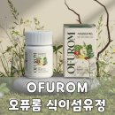 큰섬 | 오퓨롬 식이섬유정으로 알아본 식이섬유정 섭취시간 및 후기