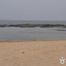 안인해변(안인해수욕장) Daum카페