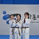 리듬태권도 | 강남성인태권도를 배우고 직장인 대학생을 모집합니다. 태권도가격 후기