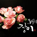 캘리그라피오월