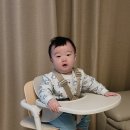 9개월 아기 이유식의자 왜 싸이벡스 레모 하이체어 3in1 시기 언제까지 추천후기
