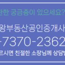 세종부동산중개사무소 이미지