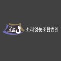가나실사 네이버블로그