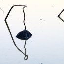 용호농장 2 이미지