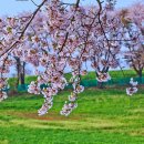 장순목장 이미지