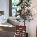 이천가산초교 | 여주 이천 카페 희원 정원 넓은 한옥카페 애견동반