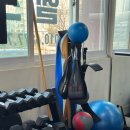 바디스미스 이미지